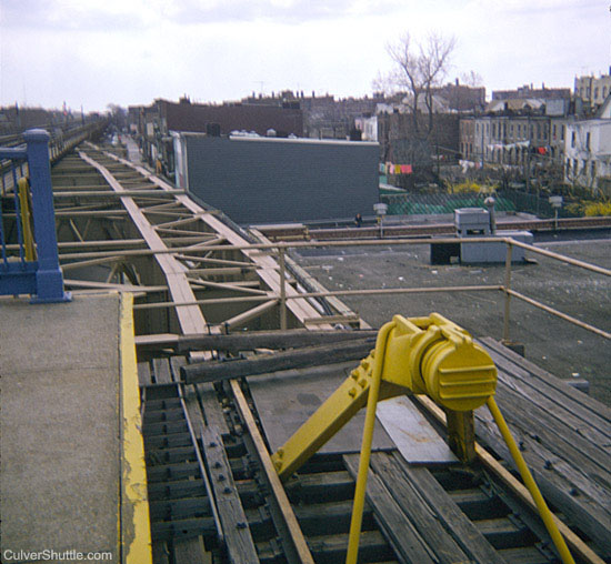 Ditmas Avenue Bumper